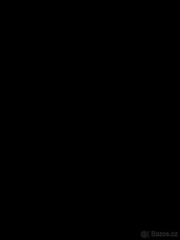 Siemens sx1