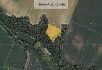 Prodej pole v k.ú. Sušno