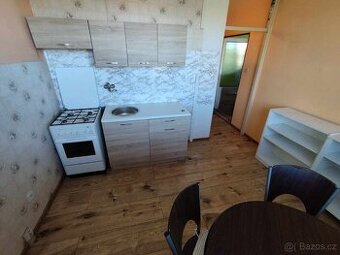 Pronájem bytu 1+1 • 41 m²