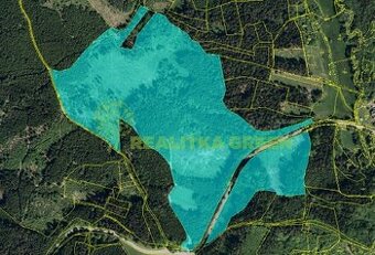 Lesní pozemky k.ú. Velíková, okr. Zlín, CP 179 312 m2