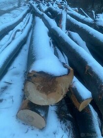 Těžba a přibližování dřeva