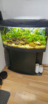 akvarium