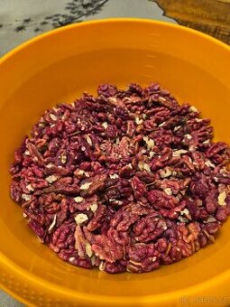 Ořechy vlašské odrůda Sychrov (červená)