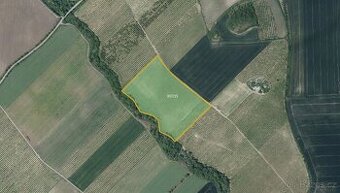 Sady, vinice, prodej, Želkovice, Louny