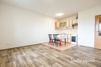 Pronájem bytu 1+kk, Boloňská, Horní Měcholupy, 32 m2