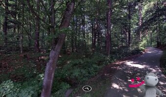 Prodej lesa 2 191 m², Zašová, ev.č. 58883