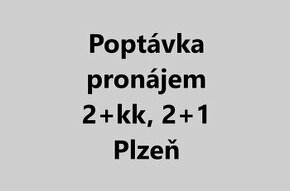 Poptávka pronájmu 2+kk, 2+1 - Plzeň a okolí do 17k