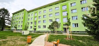 OV 2+1, ul. Mánesova, Královo Pole