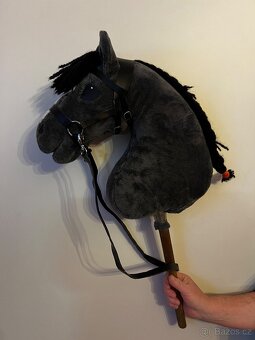 Hobby horse