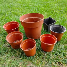 Poptávám plastové květináče