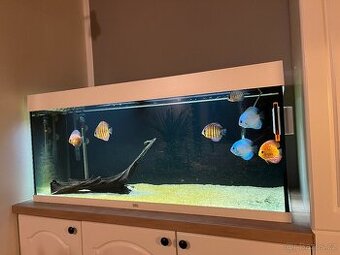 Prodám komplet Juwel 240