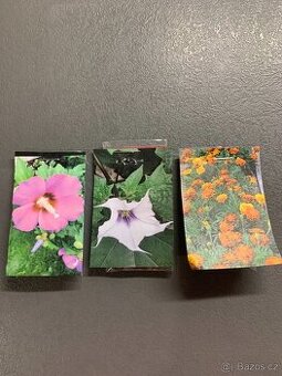 Semena ibišek, durman, afrikán