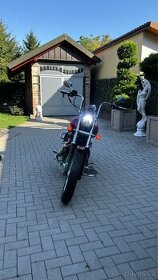 Harley - Davidson, Dyna Super Glide