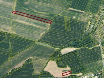 Prodej - pole a TTP, k. ú. Rybnice u Kaznějova a Plasy - 1