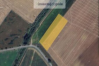 Prodej pole v k.ú. Milotice u Kyjova - 1