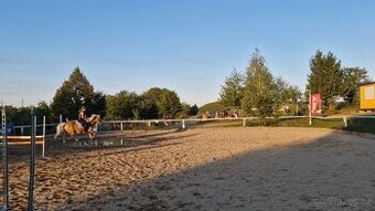 Nabídka box ustájení na Praze 5, na MHD, rodinná stáj