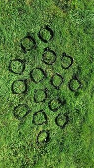 Rýn hák, objímka, spojka