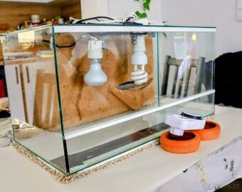 Terárium VYBAVENÉ pro malé agamy / gekončíky noční