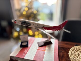 Model letadla Boeing 737-800 ve sběratelské kolekci