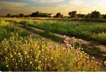 Hledám pronájem bez RK okolo ČB