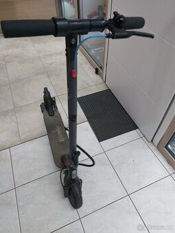 Elektrokoloběžka Escooter E5, 250 W, nabíječka