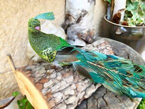 Jedinečná a originální Dekorace (Dárek) Páv (Peacock) 50 cm