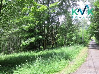 Prodej pozemku o velikosti 3 489 m2, v OV, Tisová u Nejdku - 1