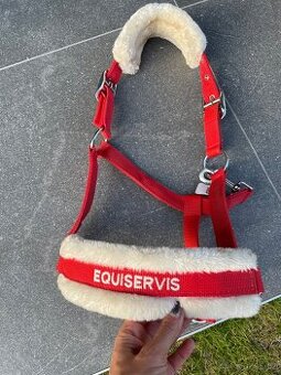 Ohlávka pony