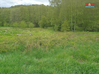 Prodej louky, 6962 m², Kořenov