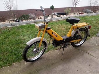 Babeta 207