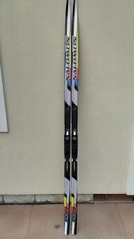 SALOMON  eguipe skate  174 cm