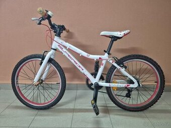 Dětské kolo Superior Paint 20