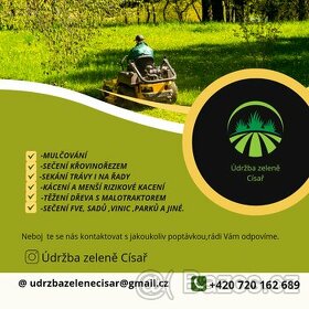 Úprava zeleně , sekání travy, prořezávání,kácení stromů