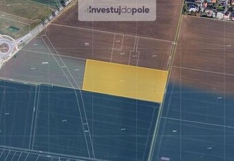 Prodej pole v k.ú. Moravany u Brna - 1