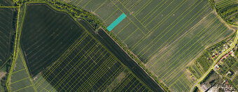 Prodej pozemku 15 417m2- Loukov