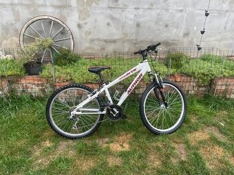 Dětské kolo Author mx 7005 velikost 24