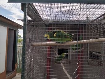 Ahoj,