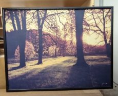 Fotografické obrazy Hukvaldy Jurečka