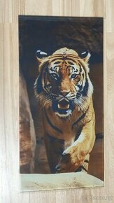 Skleněné obrazy 20 x 40 cm