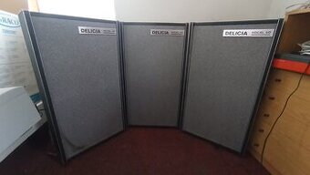 Reproduktory DELICIA Vocal 40