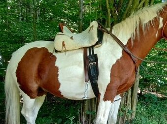Španělské sedlo vaquero