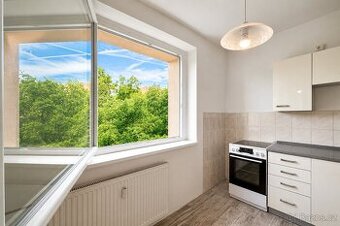 Prodej, byt, 3+1, 66 m2, osobní vlastnictví, Jirkov, Na Bork