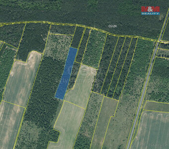 Prodej lesa, 6619 m², Řeřichy