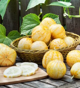 Citronové popínavé mini okurky (10 semen) - 1