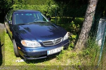 Maxima QX 3.0 6V Automat