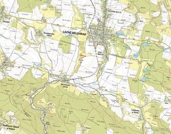 Zemědělská půda, prodej, Dolní Nová Ves, Lázně Bělohrad, Jič