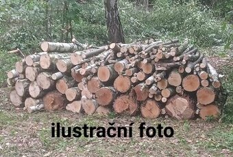 Prodám palivové dřevo