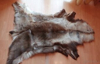 Nepoužívaná sobí kožešina z Norska