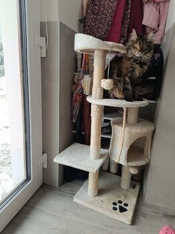 Kočičí škrabadlo