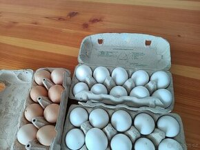 Prodej čerstvých domácích vajíček